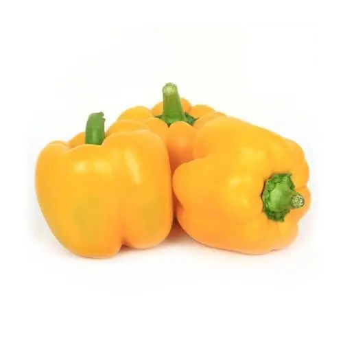 Baby Capsicums Yellow 250g Netherlands