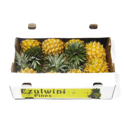Baby Pineapple 4kg RSA