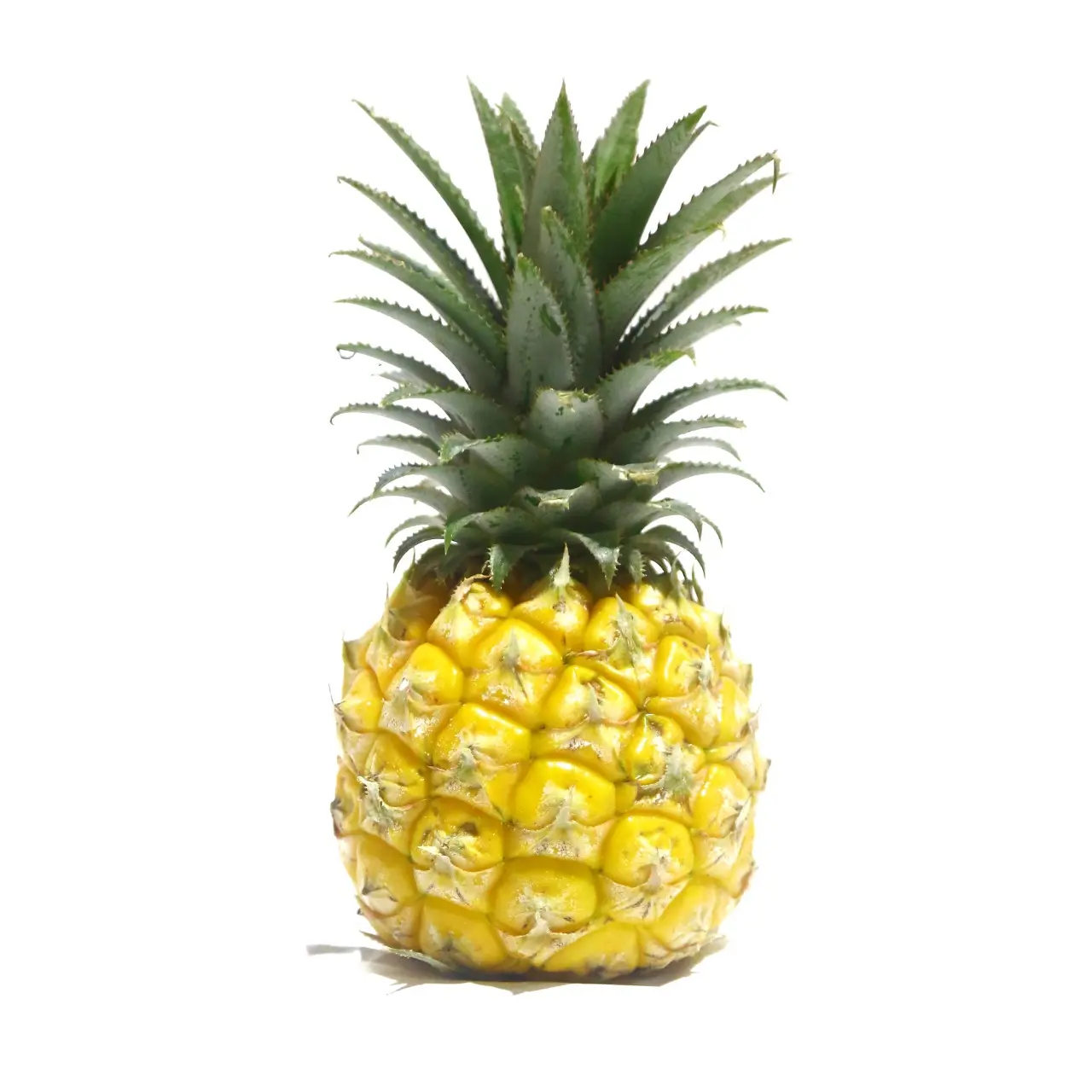 Baby Pineapple 500g RSA