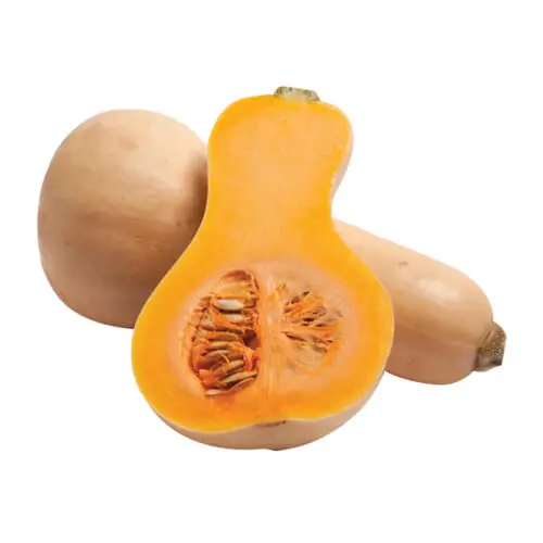Butternut Pumpkin 900g Spain