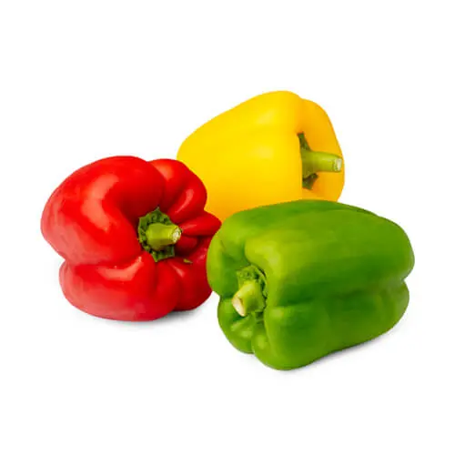 Capsicum Mixed 3 Color 500g Iran