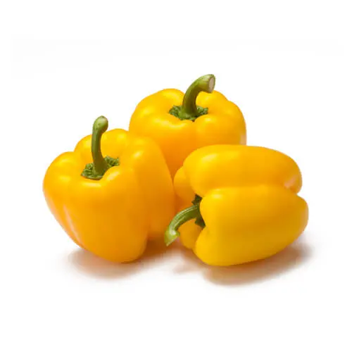 Capsicum Yellow 500g Spain