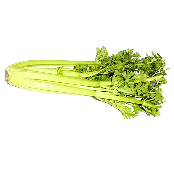 Celery 900g Iran