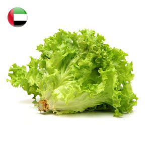Lettuce Lollo Green 200g/pc UAE