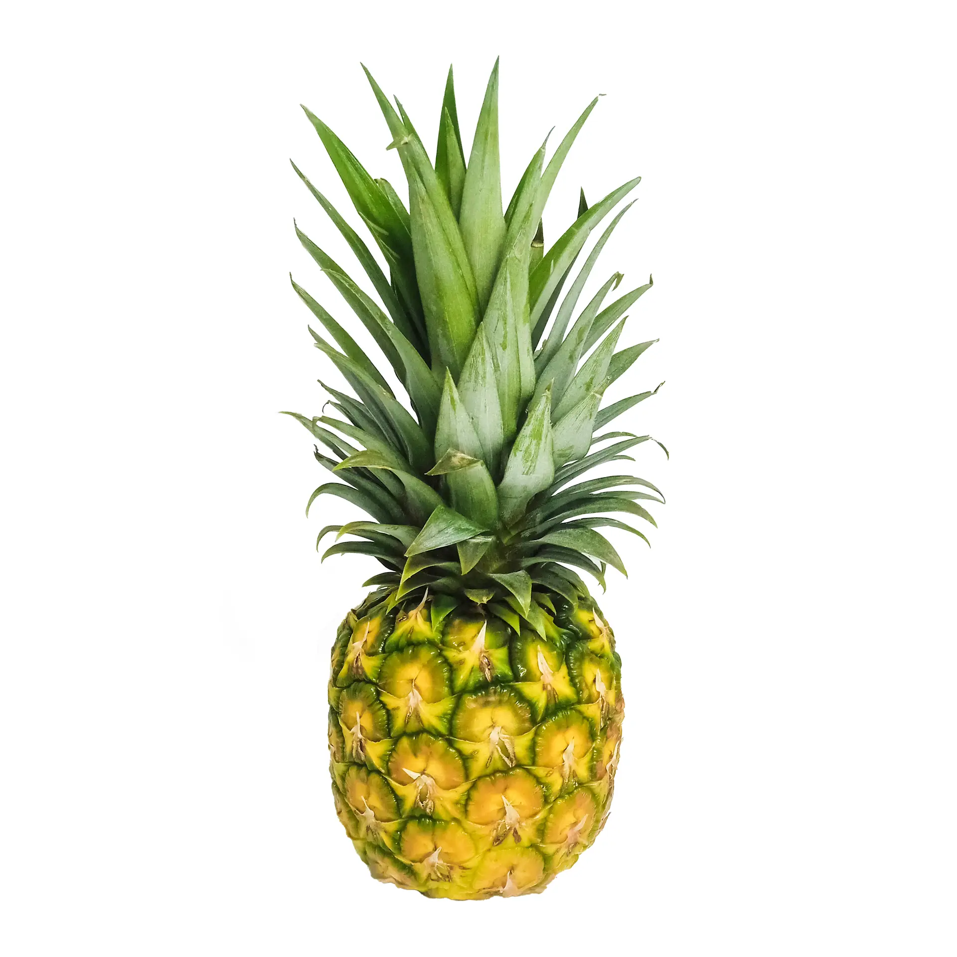 Pineapple Honeyglow 1kg to 1.2kg Kenya