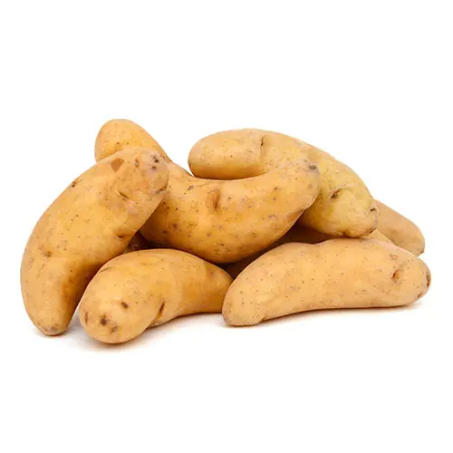 Potato La Ratte 1Kg France