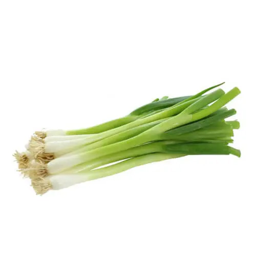 Spring Onions 100g UAE
